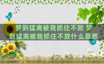 梦到猛禽被我抓住不放 梦到猛禽被我抓住不放什么意思